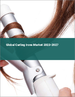 捲髮器的全球市场 2023-2027