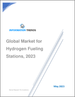 氢燃料供给站的全球市场，2023年