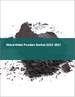 金属粉末的全球市场 2023-2027