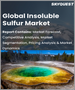 不溶性硫磺的全球市场 - 市场规模，占有率，成长分析:各等级类型，各用途，产业预测(2023年～2030年)
