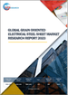 方向性电磁钢板的全球市场:2023年