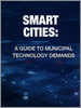 智慧城市：市政技术需求指南