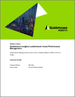 Guidehouse Insights 排行榜报告：资产绩效管理 (APM) - 评估公用事业 APM 解决方案的九家领先供应商的策略和执行情况