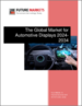 全球汽车显示器市场：2024-2034