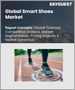 全球智慧鞋市场（2023-2030）：按产品类型（智慧步行鞋、智慧跑鞋）、配销通路（超市/大卖场、专卖店）分類的规模、份额、成长分析和预测