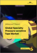 特殊感压胶带的全球市场(2023年)