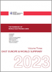 世界电子产业资料年鑑：第3卷（2023年）－中东欧国家及世界电子产品生产与市场概况