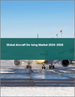 2024-2028年全球飞机除冰剂市场