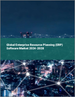企业资源规划 (ERP) 软体全球市场 2024-2028