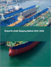 全球干散货航运市场 2024-2028