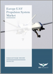 欧洲无人机推进系统市场分析与预测：2023-2033