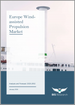 欧洲风电辅助推进市场：分析与预测（2023-2032）