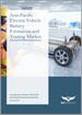 亚太地区电动车电池化成与测试市场：分析与预测（2023-2032）