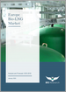 欧洲生物液化天然气市场－分析与预测（2023-2032）