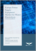 欧洲水电电解供电设备市场：按应用、设备类型和国家分析和预测（2023-2032）