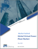 虚拟发电厂（VPP）的全球市场