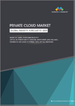全球私有云端市场：市场规模、份额、成长分析、按服务模式、按类型、按组织规模、按行业、按地区 - 预测到 2029 年