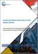 SBQ（特殊钢棒）全球市场、绩效及预测（2019-2030年）