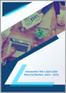 汽车用电线、电缆材料的全球市场:成长，未来展望，竞争分析 (2024年～2032年)