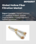 中空纤维过滤市场规模、份额和成长分析：按类型、按工艺、按技术、按应用、按最终用途、按地区 - 2025-2032 年行业预测