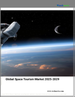 2025-2029年全球太空旅游市场