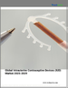 子宫内避孕器（IUD）市场：2025-2029年全球市场
