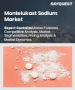 Montelukast sodium市场规模、份额及成长分析（依产品类型、剂型、药物类别、应用、通路及地区）－2025-2032 年产业预测