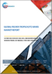全球费托合成（FT）蜡市场报告、历史及预测（2020-2031年）