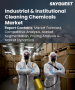 工业和机构清洁化学品市场规模、份额和成长分析（按原料、产品、应用、产业和地区划分）－2026-2033年产业预测