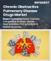 慢性阻塞性肺病(COPD) 治疗市场规模、份额和成长分析（按 COPD 类型、药物类别、给药途径、患者群体、通路和地区划分）—产业预测 (2026-2033)