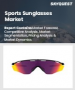 运动太阳眼镜市场规模、份额和成长分析（按类型、应用、最终用户、分销管道和地区划分）—2026-2033年产业预测