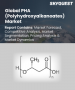聚羟基烷酯酯 (PHA) 市场规模、份额和成长分析（按产品、PHA 类型、生产方法、应用和地区划分）—2026-2033 年产业预测