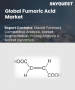 富马酸市场规模、份额及成长分析（按类型、应用、最终用途、萃取方法及地区划分）－2026-2033年产业预测
