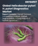 幽门螺旋桿菌（H. pylori）诊断市场规模、份额和成长分析（按检测类型、方法、最终用户和地区划分）—产业预测（2026-2033 年）