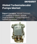涡轮分子帮浦市场规模、份额和成长分析（按类型、最大泵速、应用和地区划分）－2026-2033年产业预测