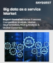 巨量资料即服务(BaaS) 市场规模、份额和成长分析（按组件、组织规模、部署类型、垂直产业和地区划分）－2026-2033 年产业预测