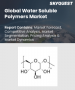 水溶性聚合物市场规模、份额及成长分析（按来源、应用及地区划分）－2026-2033年产业预测