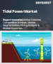 潮汐能市场规模、份额及成长分析（依方法、容量、安装深度、应用及地区划分）－2026-2033年产业预测