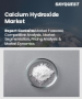 氢氧化钙市场规模、份额和成长分析（按类型、等级、应用、纯度和地区划分）－2026-2033年产业预测