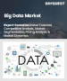 巨量资料市场规模、份额和成长分析（按产品、技术、应用和地区划分）－2026年至2033年产业预测