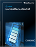 2026-2030年全球奈米电池市场