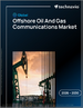 2026-2030年全球海上油气通讯市场