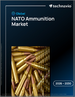 2026-2030年全球北约弹药市场