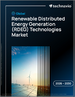 2026-2030年全球可再生分散式能源发电（RDEG）技术市场