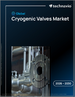2026-2030年全球低温阀门市场