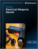 2026-2030年全球电动武器市场