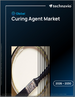 2026-2030年全球硬化剂市场