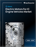 2026-2030年全球内燃机汽车用电动马达市场