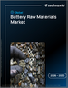 2026-2030年全球电池材料市场
