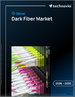 全球暗纤市场，2026-2030年